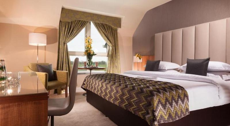 Castleknock Hotel Blanchardstown Rum bild
